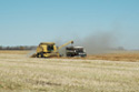 Harvest