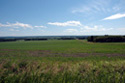 Open Sky